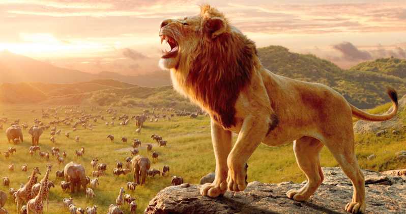 The Lion King Tamil Movie Download In Isaimini 