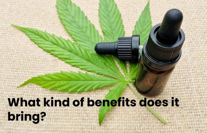 Benefits of Using Wholesale CBD Flower