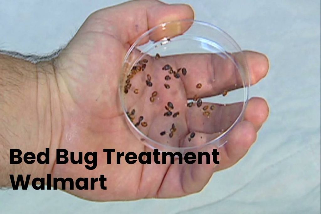 Bed Bug Treatment Walmart