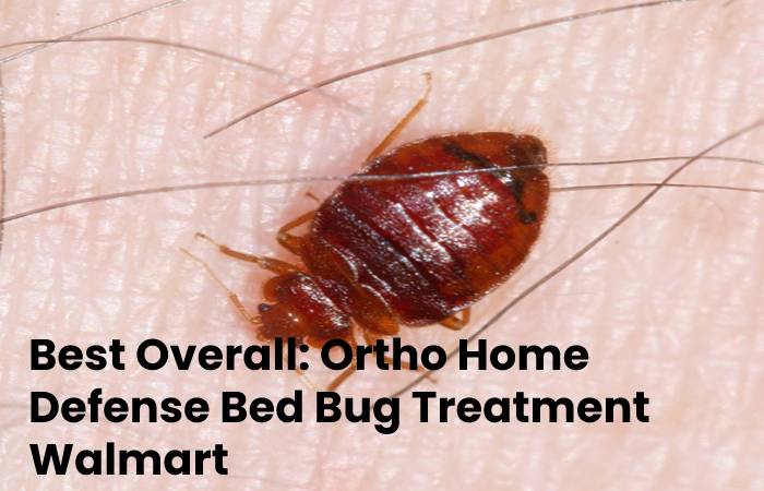 Bed Bug Treatment Walmart