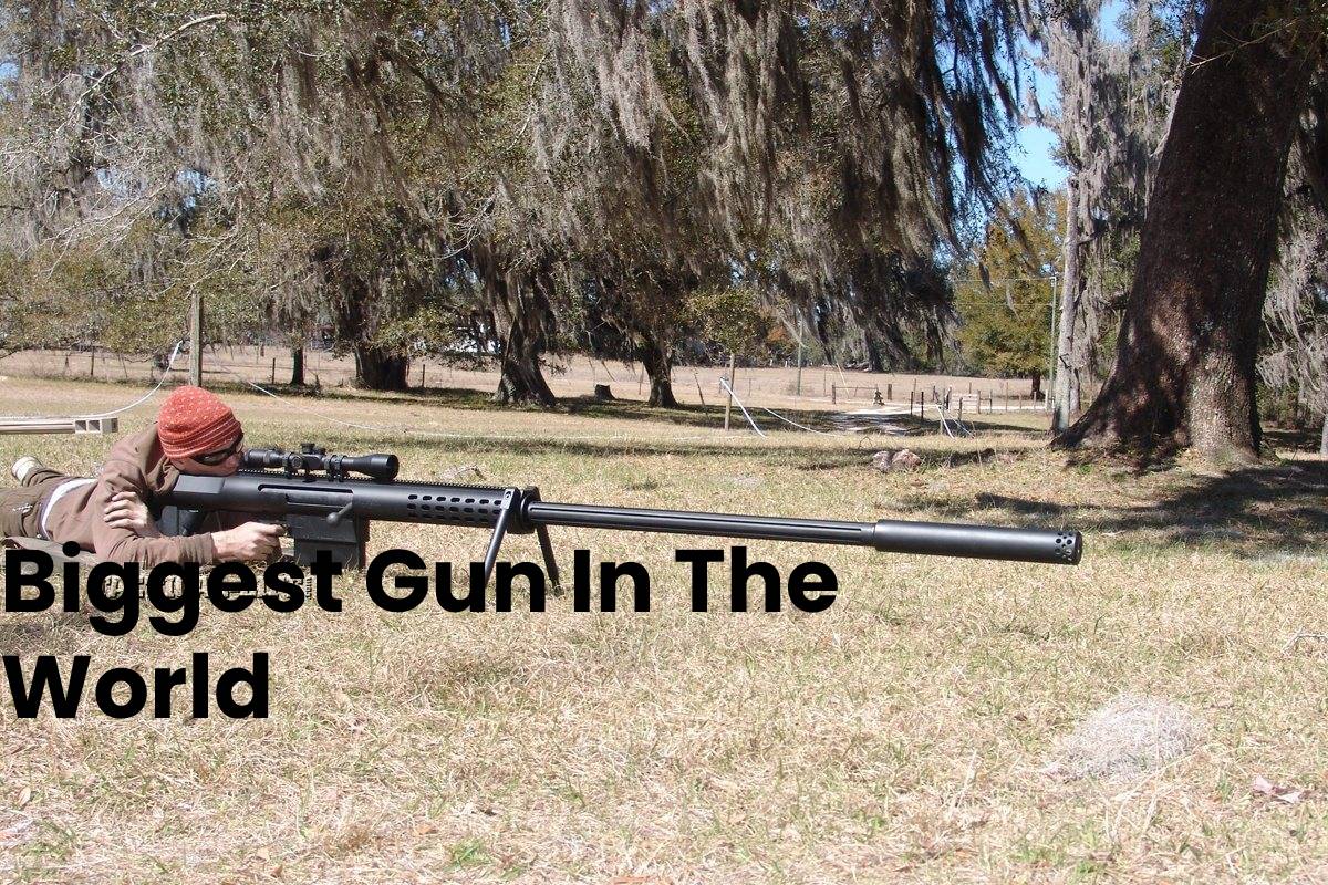 Biggest Gun In The World