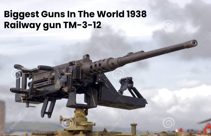 Biggest Gun In The World 