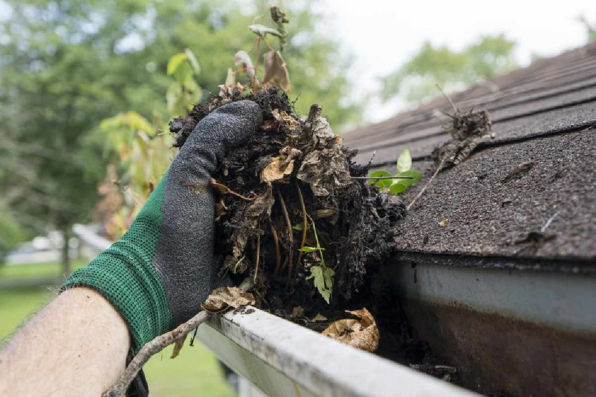 Preventative Gutter Care