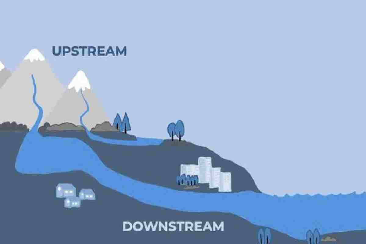 Downstream and Upstream