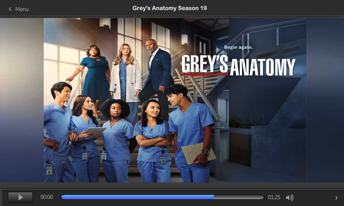 greys anatomy season 19