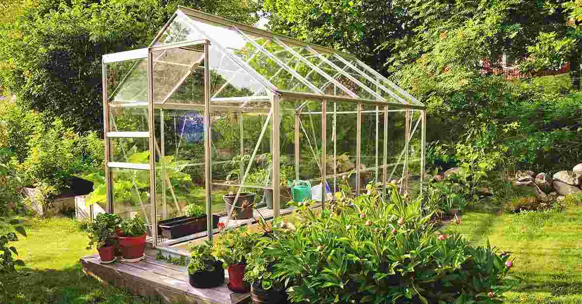 5 Benefits Of Having A Greenhouse In Your Backyard