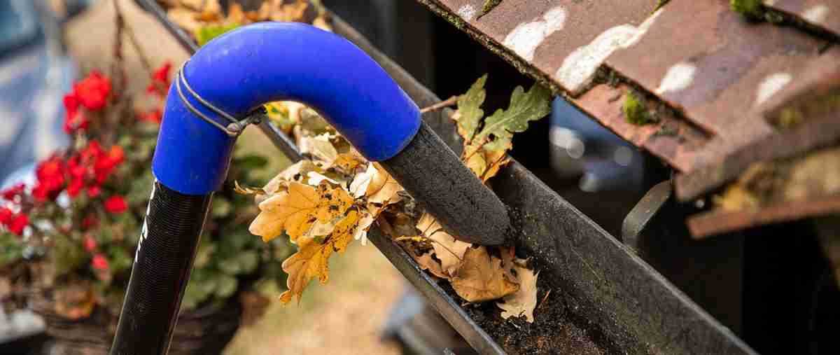 Best Gutter Cleaning Companies in Hastings
