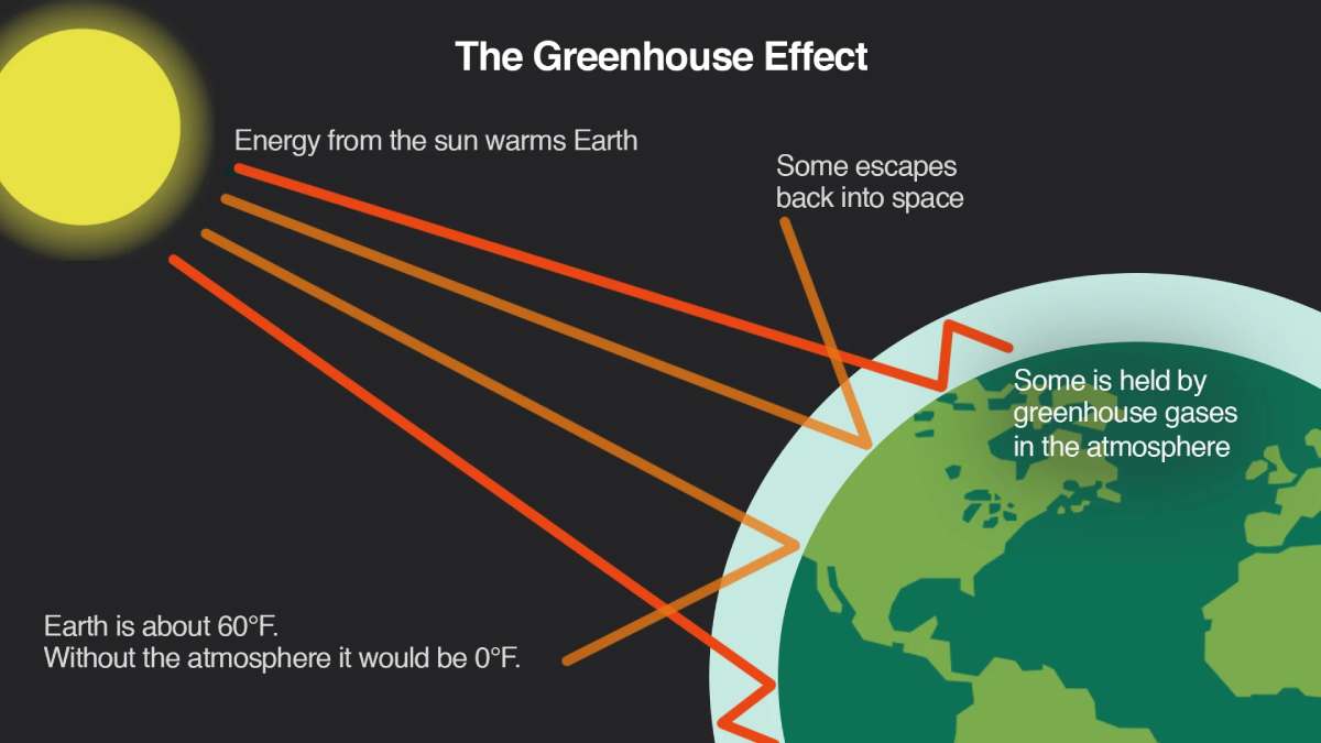 What is Greenhouse and the Greenhouse Effects?