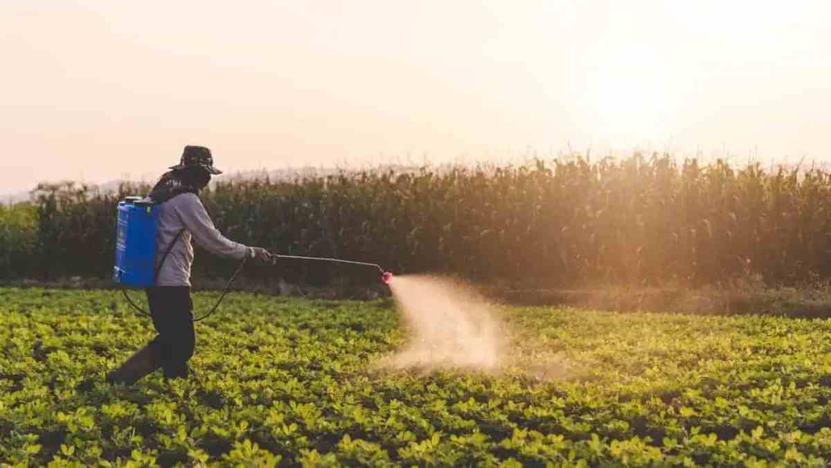 Roundup Lawsuits and Their Far-reaching Consequences for Agribusiness