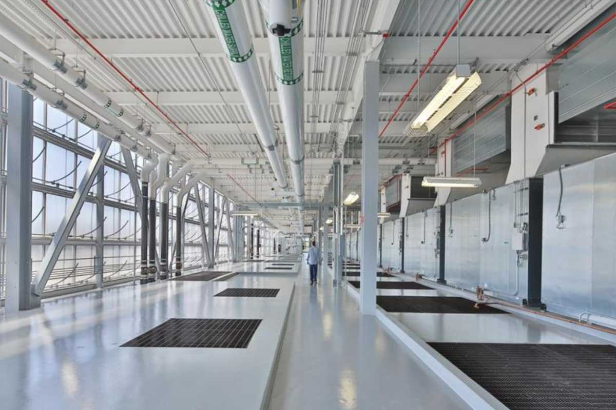 designing soft light and beauty with translucent walls